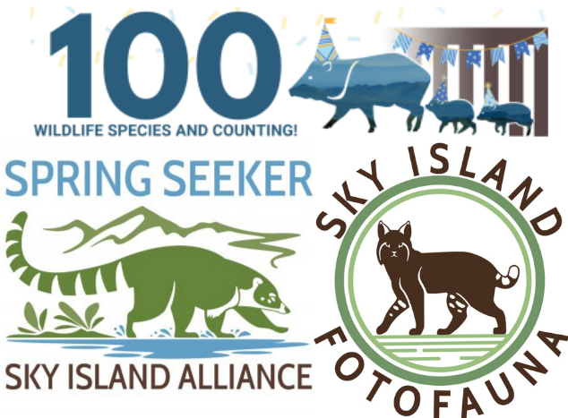 3 Unclaimed Islands from Across the World - A-Z Animals