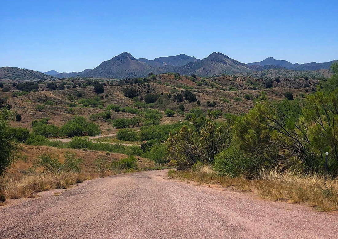 Preserving the Great Outdoors - Visit the Sky Islands of Arizona